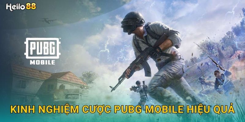 Kinh nghiệm cược PUBG Mobile hiệu quả